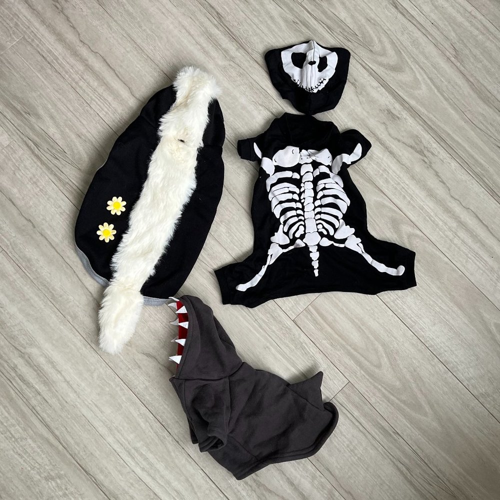 Small Dog Costumes (3)